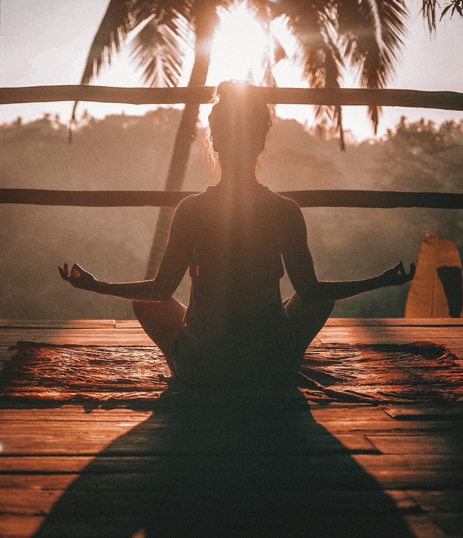 Self Care & Organization